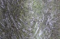 East Heckington fibreglass roof work